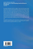 Molecular Genetics of Axial Patterning, Growth and Disease in Drosophila Eye