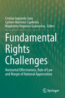 Fundamental Rights Challenges