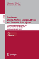 Brainlesion