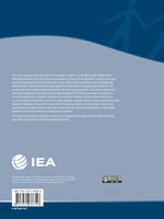 Young Citizens' Views and Engagement in a Changing Europe