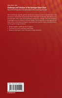 Challenges and Solutions in the Hydrogen Value Chain