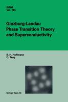 Ginzburg-Landau Phase Transition Theory and Superconductivity