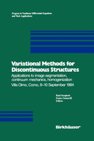 Variational Methods for Discontinuous Structures
