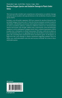 Reactive Oxygen Species and Oxidative Damage in Plants Under Stress