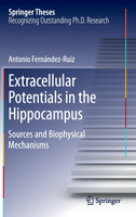 Extracellular Potentials in the Hippocampus