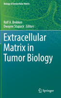 Extracellular Matrix in Tumor Biology