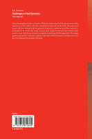 Challenges in Fluid Dynamics