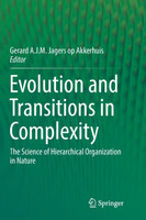 Evolution and Transitions in Complexity