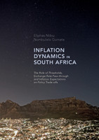 Inflation Dynamics in South Africa