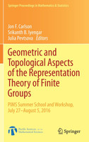 Geometric and Topological Aspects of the Representation Theory of Finite Groups