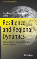 Resilience and Regional Dynamics