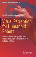 Visual Perception for Humanoid Robots