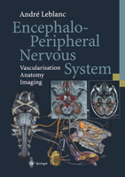 Encephalo-Peripheral Nervous System