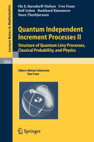 Quantum Independent Increment Processes II