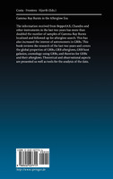 Gamma-Ray Bursts in the Afterglow Era