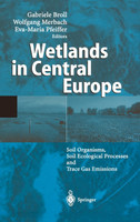 Wetlands in Central Europe