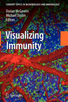 Visualizing Immunity