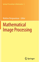 Mathematical Image Processing