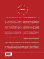 The Irish Language in the Digital Age