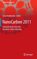 NanoCarbon 2011