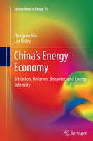 China's Energy Economy