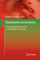 Nanobioelectrochemistry