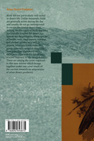 Avian Desert Predators