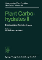 Plant Carbohydrates II