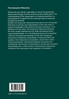 The Eukaryotic Ribosome