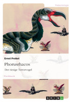 Phorusrhacos