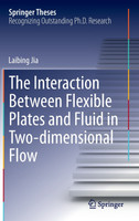 The Interaction Between Flexible Plates and Fluid in Two-dimensional Flow