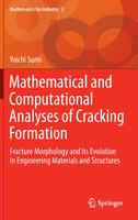 Mathematical and Computational Analyses of Cracking Formation