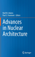 Advances in Nuclear Architecture