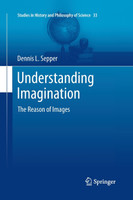 Understanding Imagination