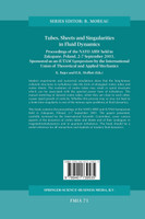 Tubes, Sheets and Singularities in Fluid Dynamics