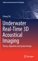 Underwater Real-Time 3D Acoustical Imaging