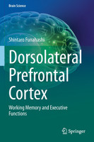 Dorsolateral Prefrontal Cortex