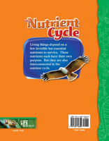 The Nutrient Cycle