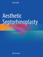 Aesthetic Septorhinoplasty