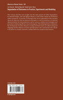 Degradation of Elastomers in Practice, Experiments and Modeling