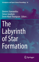 The Labyrinth of Star Formation