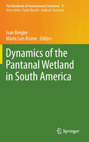 Dynamics of the Pantanal Wetland in South America