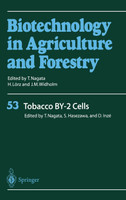 Tobacco By-2 Cells