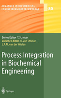 Process Integration in Biochemical Engineering