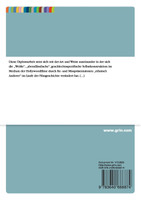 Eine Annäherung an Hollywoods Whiteness durch die Analyse der Inszenierungen des vermeintlich „Anderen"