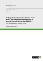 Partizipation und soziale Exklusion in der Arbeit mit männlichen Jugendlichen in Jugendhilfemaßnahmen des SGB VIII