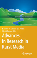 Advances in Research in Karst Media