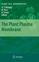 The Plant Plasma Membrane