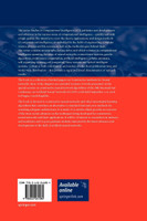 Constructive Neural Networks