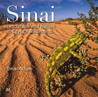 Sinai